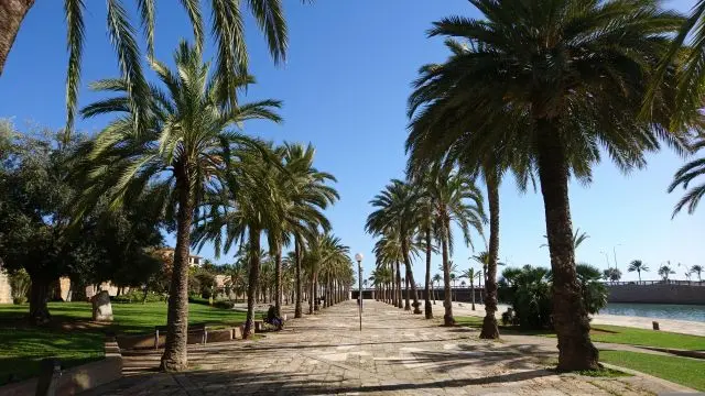 Bild zeigt die Promenade im Viertel Sa Calatrava